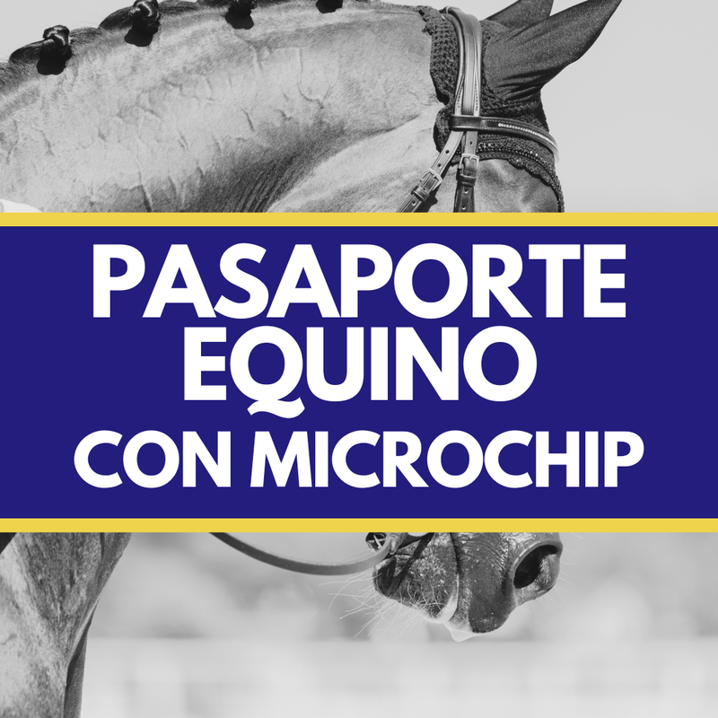 Pasaporte Equino Nacional con Microchip