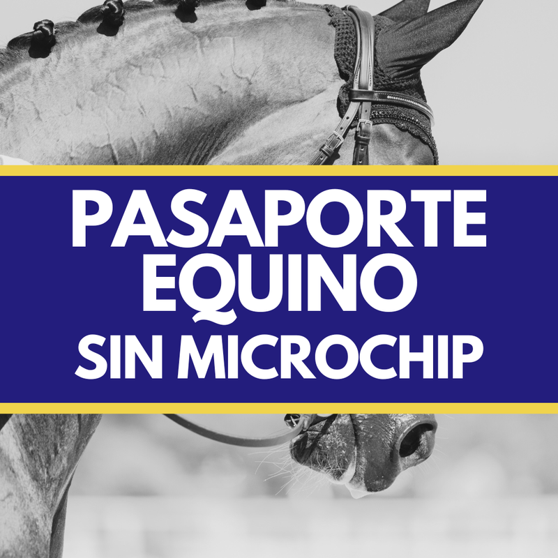 Pasaporte Equino Nacional