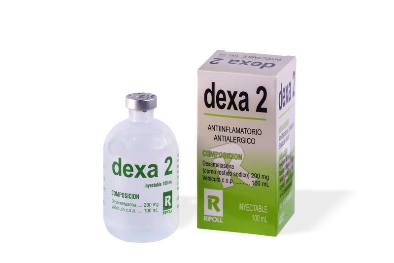 Producto - Imagen 1