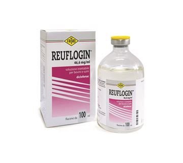 Producto - Imagen 1