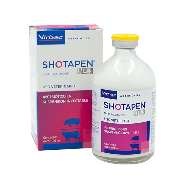 Producto - Imagen 1
