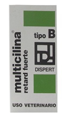 Producto - Imagen 1