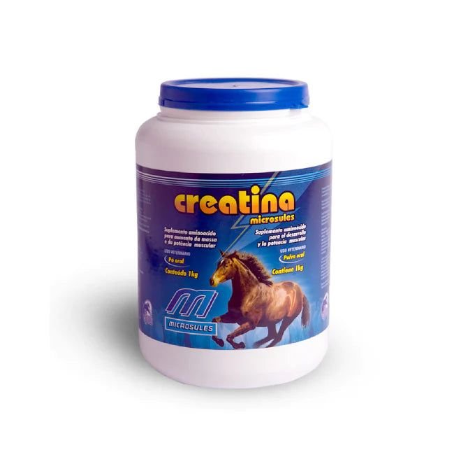 Producto - Imagen 1
