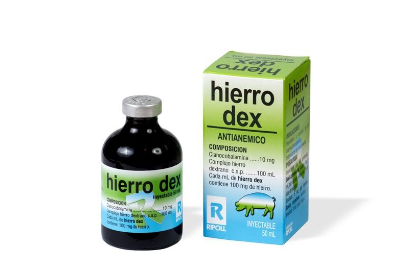 Producto - Imagen 1