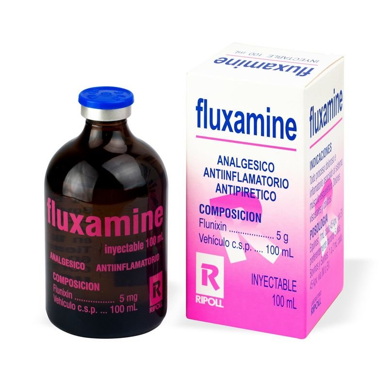 Producto - Imagen 1