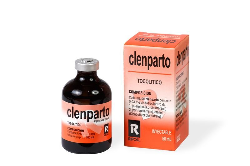 Producto - Imagen 1
