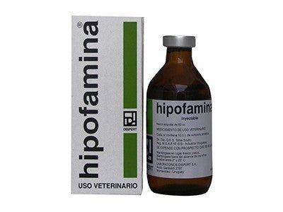 Producto - Imagen 1