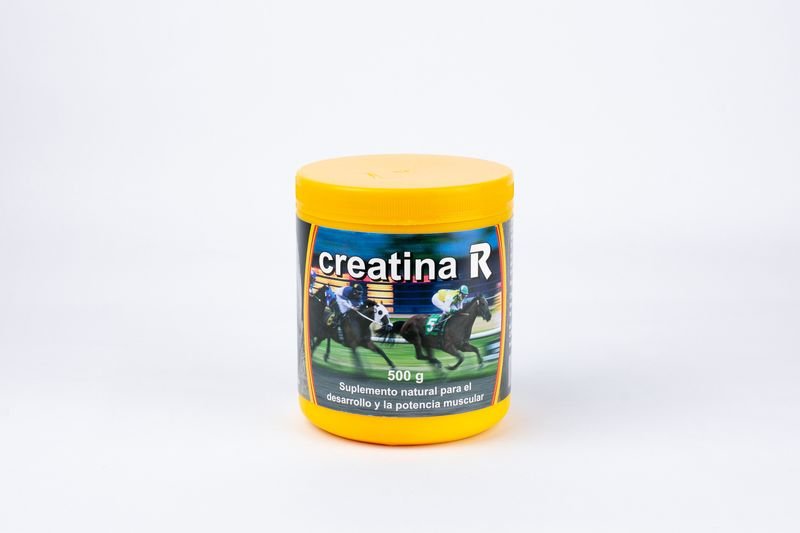 Producto - Imagen 1