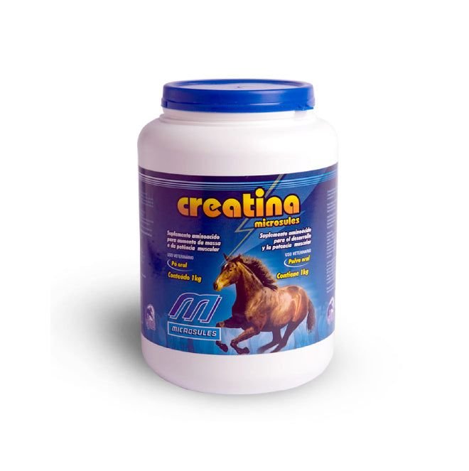 Producto - Imagen 1