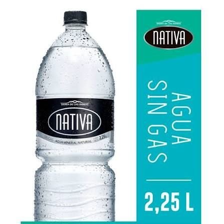 Agua Nativa Sin Gas 2 Lt